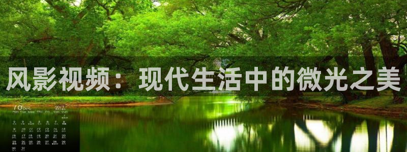 金牌影视在线观看：风影视频：现代生活中的微光之美