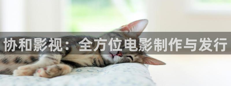 金牌特勤队 电影：协和影视：全方位电影制作与发行