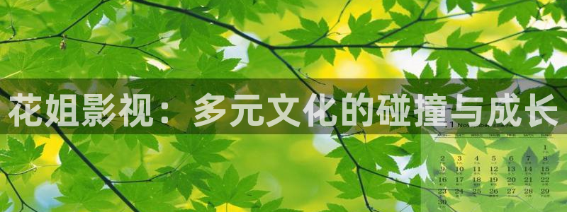 金牌影院在线观看：花姐影视：多元文化的碰撞与成长