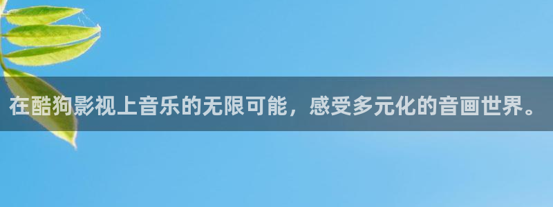 金牌影视在线：在酷狗影视上音乐的无限可能，感受多元化的音画世界。