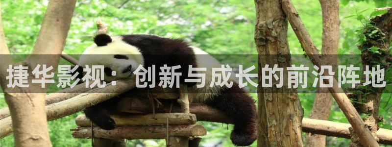 金牌影视电视剧在线观看免费：捷华影视：创新与成长的前沿阵地