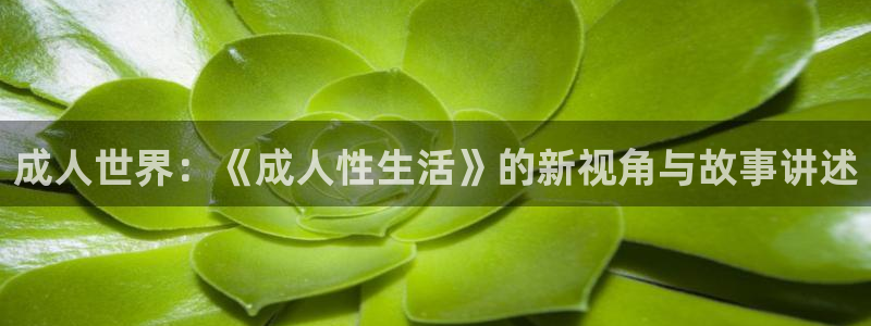 金牌电影在线观看免费完整版高清：成人世界：《成人性生活》的新视角与故事讲述
