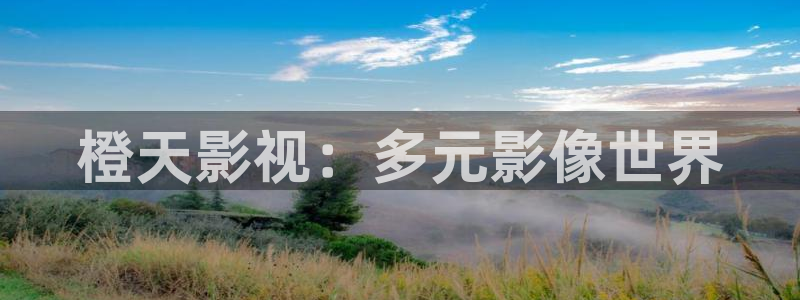金牌 影院：橙天影视：多元影像世界