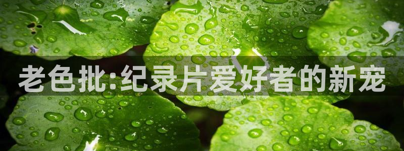 我可能遇到了救星金牌影院：老色批:纪录片爱好者的新宠