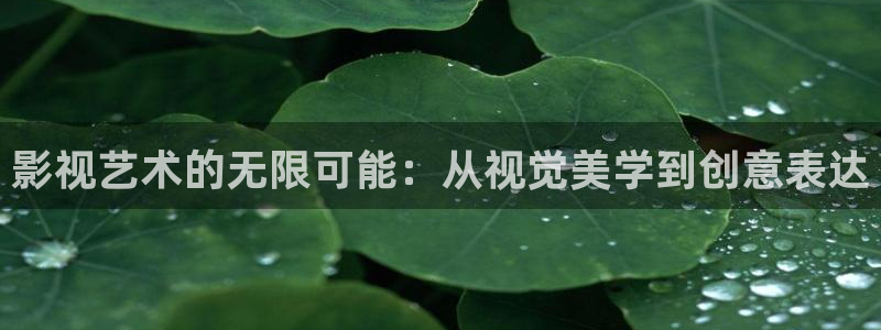 金牌影视院：影视艺术的无限可能：从视觉美学到创意表达